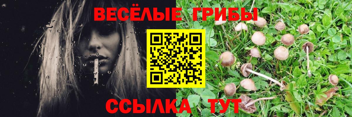Курчалой  Галлюциногенные грибы MAGIC MUSHROOMS  Галлюциногенные грибы мицелий  Вход с VPN 
