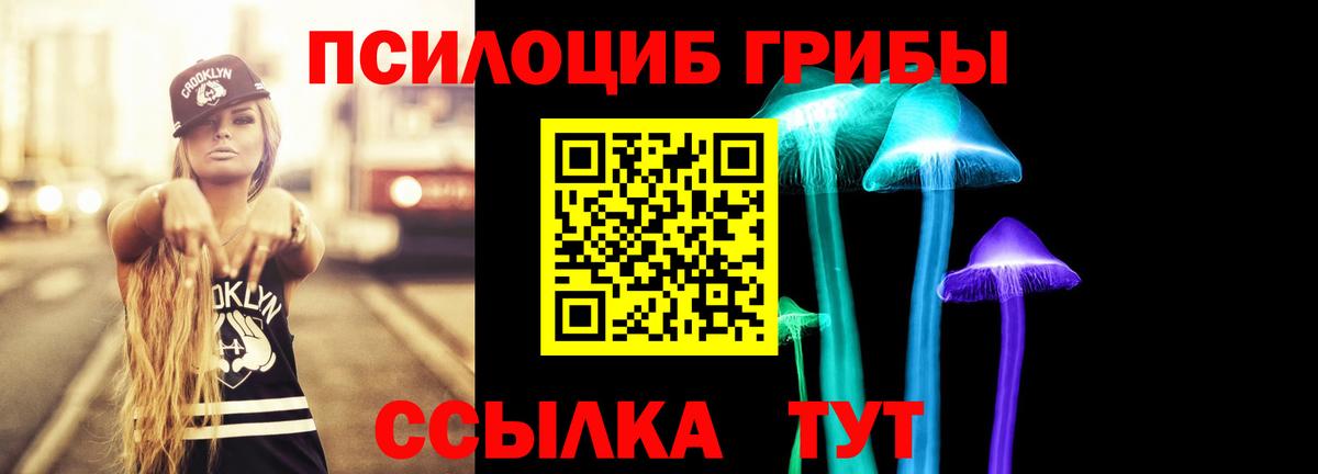 Псилоцибиновые грибы мицелий Курчалой